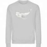 Beluga – Unisex Bio Sweater – heathergrey