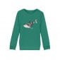 Killer Whale- Kinder Bio Sweater - green