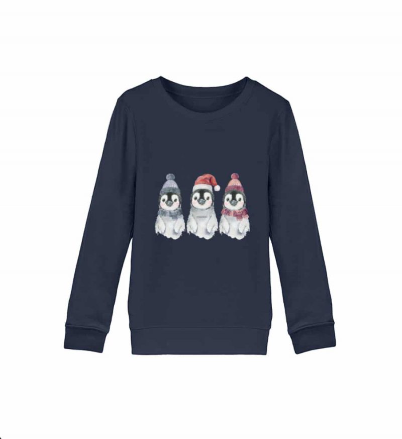 Pinguin Wintertrio - Kinder Bio Sweater - blue