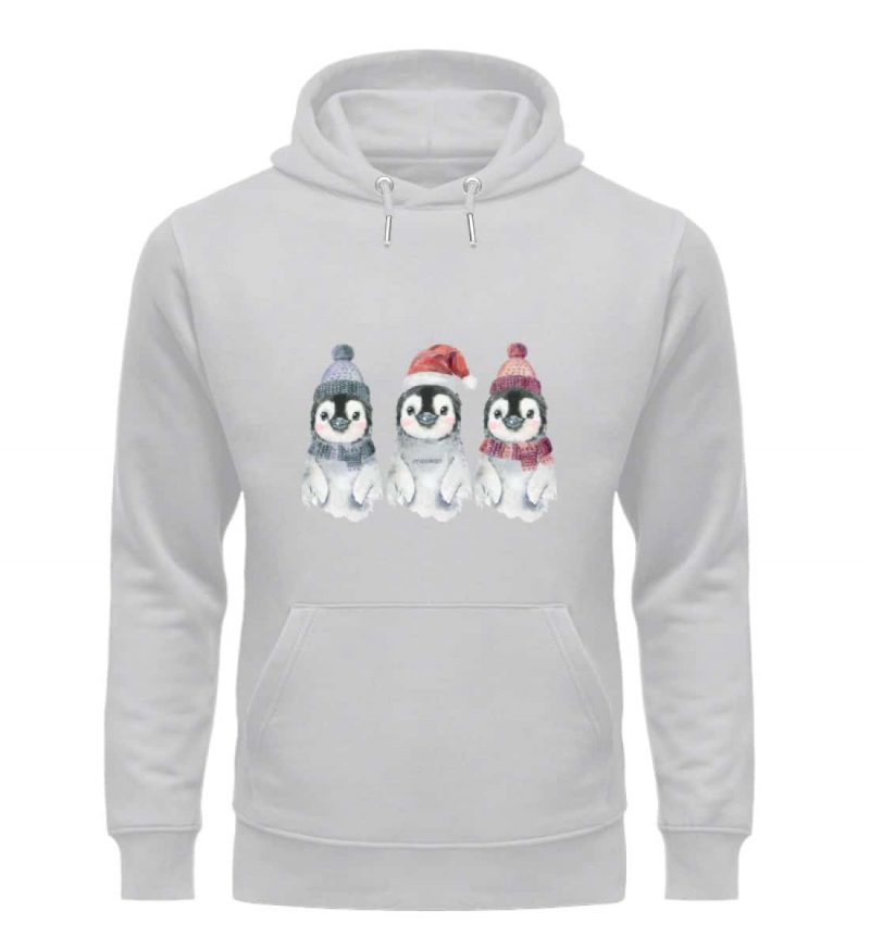 Pinguin Wintertrio - Premium Unisex Bio Hoodie - heathergrey