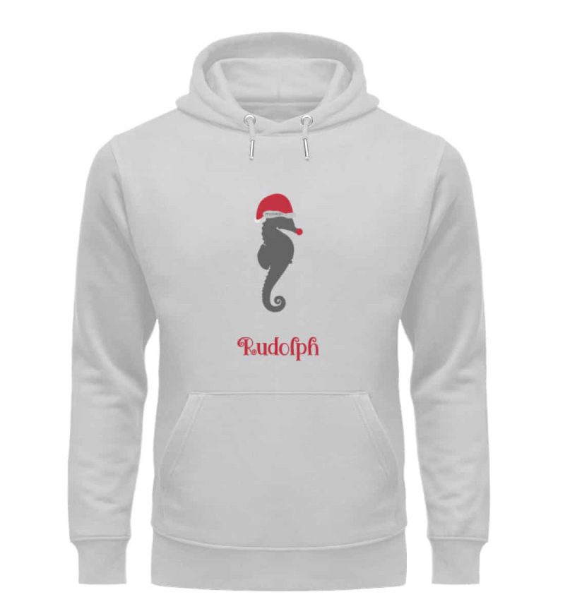 Rudolph - Premium Unisex Bio Hoodie - heathergrey