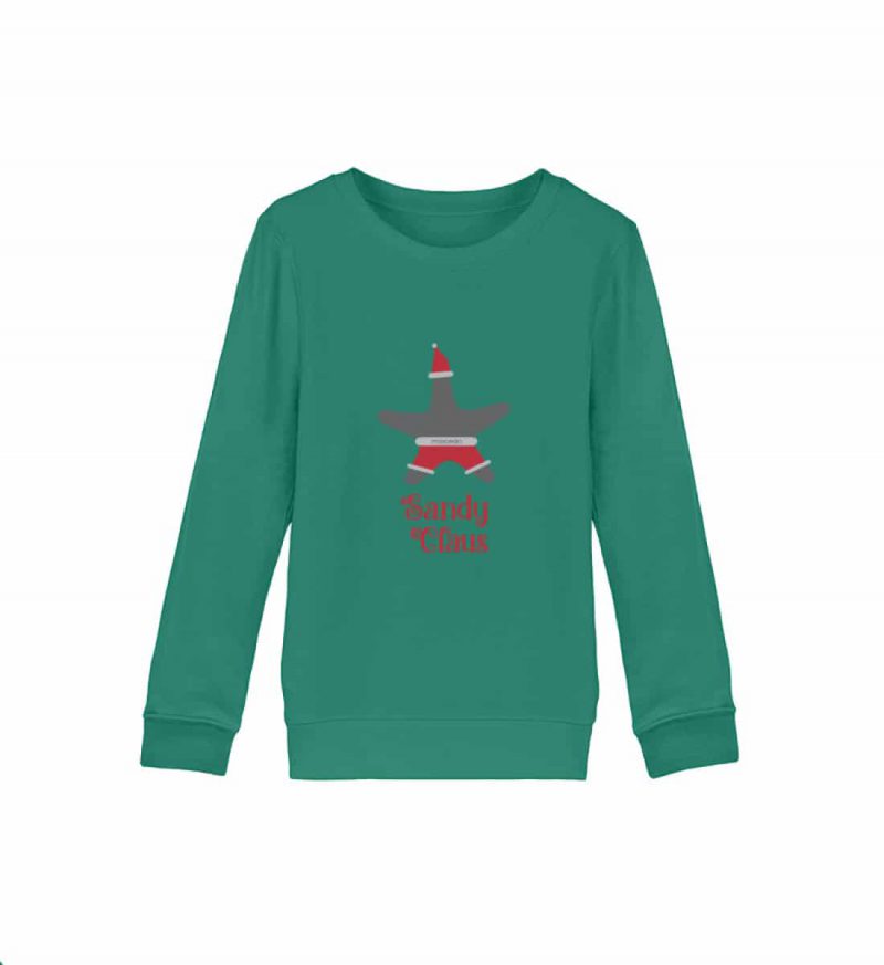 Sandy Claus - Kinder Bio Sweater - green